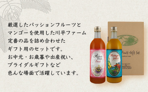 パッションマンゴージュースセット W-17 【沖縄県石垣市 沖縄 沖縄県 琉球 八重山 八重山諸島 石垣 石垣島 送料無料 マンゴー フルーツ 果物 パッションフルーツ ジュース マンゴージュース フルーツ ギフト 国産】