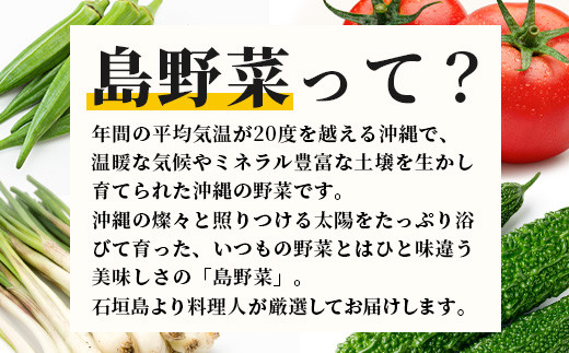 【定期便 12ヶ月】料理人が厳選した島野菜 (6～10品目×12回)  【 産地直送 野菜 野菜詰合せセット  やさい セット 詰め合わせ 冷蔵対応 沖縄県 石垣市 八重山 】 TM-8