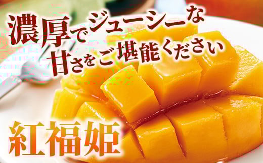 訳あり【2026年発送 予約受付分】「紅福姫ブランド」石垣島のマンゴー 約1.2kg【沖縄県 石垣市 産地直送 旬 石垣島産 マンゴー 完熟マンゴー アーウィン種マンゴー】OT-01