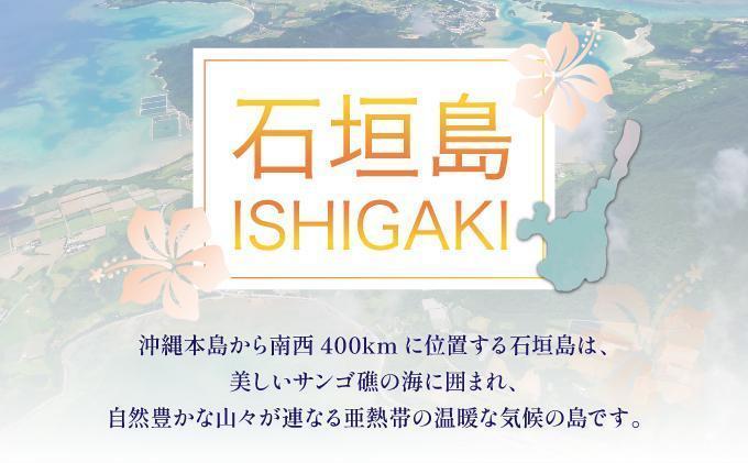 石垣パッケージ旅行補助券(150,000円分) OTI-03 クーポン150,000円分