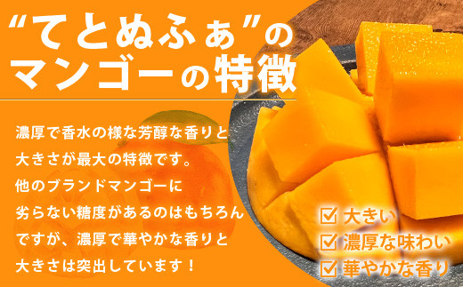 《2024年6月下旬～7月末発送》【先行予約】島の美味しい詰め込んだよくばりセット！【 産地直送 沖縄 石垣島 石垣 八重山 マンゴー、パイナップル、シークワーサー フルーツ くだもの 果物 】TF-9