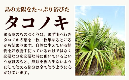 タコノキのかごバッグ L【沖縄県 石垣 自然 タコノキ はっぱ 手作り かご バッグ】 HM-2