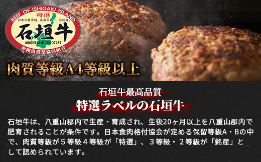 石垣牛ハンバーグ120g×10個【沖縄県 石垣市 高級 黒毛和牛 100％ 石垣牛 ビーフ ハンバーグ】AB-13-2