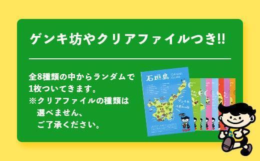 【ふるさと納税限定】【定期便_5回】ゲンキクールバリューセット【八重山ゲンキ乳業】【石垣島のソウルドリンク ゲンキクール】GN-1_5t 定期便5回