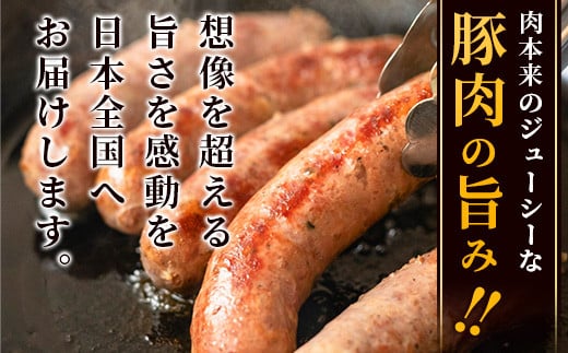 やえやまファームのアグー豚(F1種) 南ぬ豚 無添加あらびきソーセージ ３種味わいセット(３種×２パック)【 南ぬ豚 アグー豚 焼肉 食べ比べ 豚肉 石垣 石垣島 沖縄 八重山 】E-36