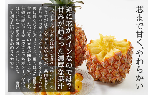 ＜先行予約＞ 農家直送！石垣島産 スナックパイン 3玉入 約1.8kg (1.6～2.0kg) ＜2026年5月中旬から発送＞ | 沖縄県 石垣島 石垣市 スナックパイン ポコットパイン ボゴールパイン パインアップル 農家 直送