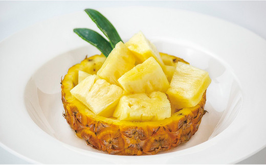 【予約受付】［2回定期便］ 石垣島産ハワイ種パイン (4玉×2回 合計8玉)【 産地直送 沖縄県 石垣市 期間限定 フルーツ パイナップル パイン パイン定期便】 ZH-25