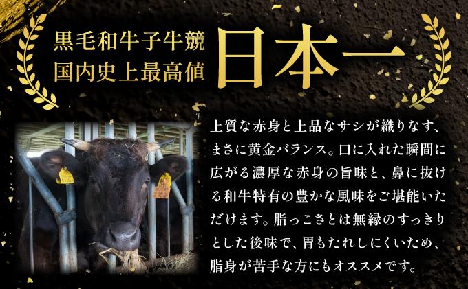 石垣島産 黒毛和牛 新里牛 濃厚赤身ローストビーフ用（ソトモモ）（200g～300g×2個）合計500g以上 SZ-11