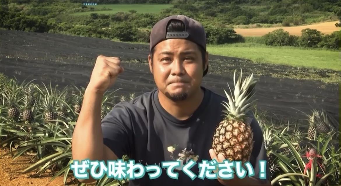 ＜先行予約＞ 農家直送！石垣島産 ゴールドバレル 2個セット 約3.5kg ＜2026年4月中旬発送＞ | パイナップル パイン 沖縄県 石垣市 石垣島 南国 フルーツ 果物 季節限定 YE-003