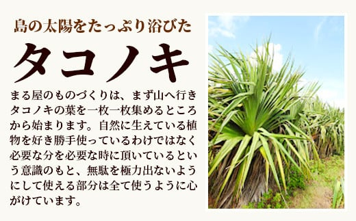 タコノキのショルダーバッグ M【沖縄県 石垣 自然 タコノキ はっぱ 手作り かご バッグ】 HM-4