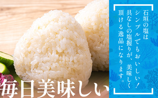 石垣の塩 500g×2 計1kg ｜ 沖縄 石垣 塩 調味料 海塩 SI-94