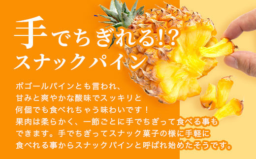 《2026年4月～6月発送》最高糖度18度！？ 石垣島産完熟スナックパイン 2個セット 【 沖縄県 石垣市 石垣島 完熟 パイン パイナップル スナック 産地直送 】TF-23_R8