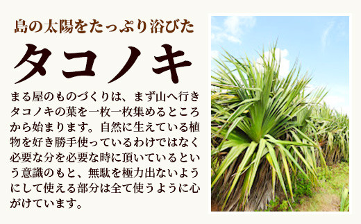 タコノキのかごバッグ S 【沖縄県 石垣 自然 タコノキ はっぱ 手作り かご バッグ】 HM-1