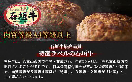 石垣牛ハンバーグ 120g×6個 【高級黒毛和牛 国産 ハンバーグ 国産牛 石垣牛 沖縄県 沖縄 琉球 八重山 八重山諸島 石垣島 石垣 ハンバーグ】AB-16-1