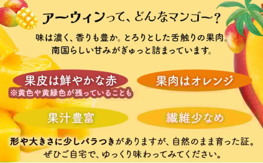 ＜わんのマンゴー＞石垣島産マンゴー アーウィン種 合計1kg ＜2026年4月以降発送＞｜産地直送 沖縄 石垣島 マンゴー  アーウィン マンゴー フルーツ 沖縄 NA-03