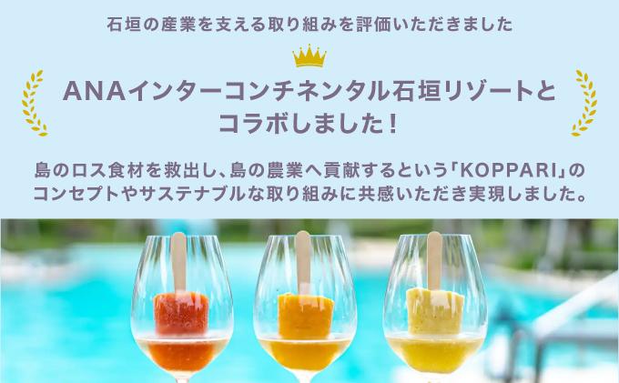 《先行予約》フローズンカットマンゴー400g【2026年6月より順次発送】 |冷凍 マンゴー 沖縄県産 南国フルーツ 冷凍フルーツ 果物 沖縄県石垣市 送料無料 EF-3