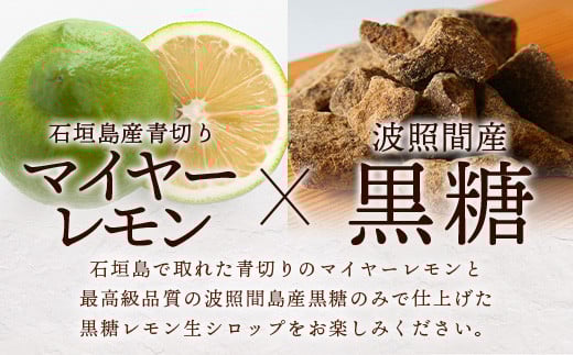【先行受付】 ≪2026年10月～12月順次発送≫皮まで食べられる!? 果肉入り黒糖レモン生シロップ120ml×2本 | 沖縄 石垣 黒糖 波照間 青切り レモン マイヤー メイヤー 果肉 生 シロップ | TF-48<