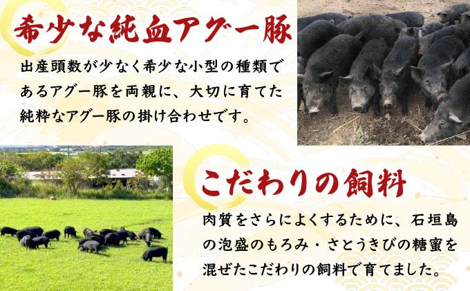 満天アグーお肉ゴロゴロカレー230g×3袋 SM-01