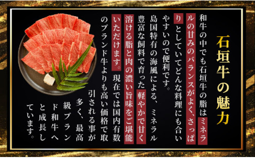 【2025年11月以降順次発送】希少な特選石垣牛をご家庭で！！ロース焼肉用200g×2パック & 石垣牛 MARU秘伝の焼肉タレ100ml×1本 | 沖縄 石垣 特選 牛 カルビ ナカバラ トモバラ 三角バラ バラ 肉 焼肉 真空 冷凍 | IM-65