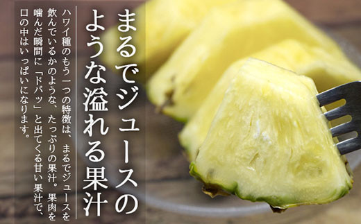 【先行受付】《2025年6月～8月順次発送予定》パイナップル（ハワイ種）沖縄 4玉入 約3.5kg 石垣島 農家直送 パインアップル TK-6