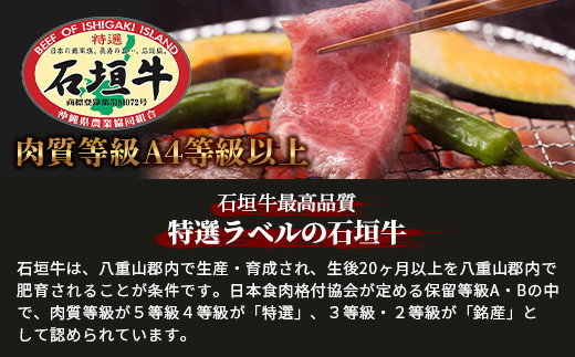 石垣牛特選焼肉1kg（いしなぎ屋）【 特選肉 肉 高級 黒毛和牛 和牛 牛 】AB-17