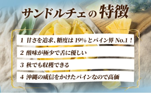 【先行予約】石垣島産 中玉サンドルチェ２玉 合計約1.9kg《2025年夏季 順次発送》【 沖縄 石垣 フルーツ パイナップル パイン サンドルチェ 産地直送 】SI-106 中玉 2個