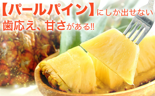 【先行予約】パールパイン1ｋｇ（1～2玉）お勧め♪川平パイン《2026年7月～8月頃順次発送》KN-2