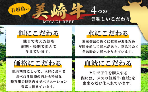 美崎牛ハンバーグ200g×6個【 お肉 美崎牛 ハンバーグ 牛肉 肉 】（tokyoFMで紹介された美崎牛です！♪）O-5