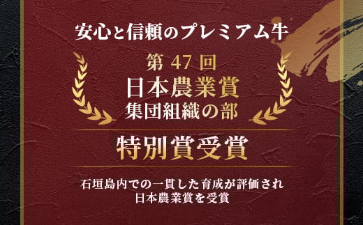 石垣牛 ハンバーグ ≪100g10個≫（八重山パーツミート）【 ビーフハンバーグ 手作り ハンバーグ いしがき牛ハンバーグ 石垣牛 】I-9 