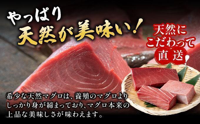 【数量限定】石垣島産 天然本マグロ 中トロ & 大トロ 約400g ヤエスイ マグロ船直送 ＜2025年6月下旬より発送＞ | 産地直送 大トロ 大とろ 中トロ 中とろ 国産 まぐろ 鮪 天然 赤身 魚 お刺身 本まぐろ マグロ 沖縄県 沖縄 琉球 八重山 八重山諸島 石垣島 石垣 石垣島産 <先行予約>中トロ&大トロ約400g