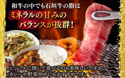 【2025年11月以降順次発送】希少な特選石垣牛をご家庭で！！切り落とし焼肉用300g×3パック&石垣牛 MARU秘伝の焼肉タレ100ml×1本 | 沖縄 石垣 特選 牛 切り落とし 焼 肉 タレ | IM-39 切り落とし焼肉用900g+焼肉タレ1本