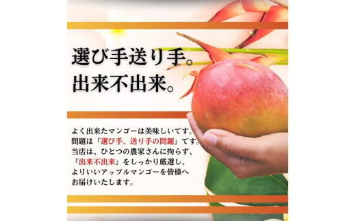 ＜先行予約＞ 石垣島産 完熟マンゴー 約5kg (7～12個入り) ＜2026年7月中旬以降発送＞ | 産地直送 沖縄 石垣 フルーツ マンゴー アップルマンゴー 完熟マンゴー SI-057