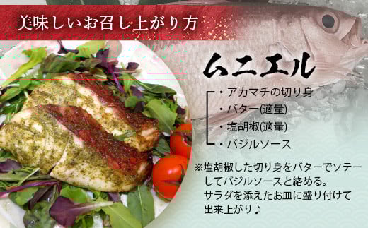 【予約受付】高級ブランド魚 尖閣赤マチ 1尾 約1kg 下処理済【沖縄三大高級魚】尖閣諸島 刺身 焼魚 煮物 鮮魚 冷凍 ムニエル 天然 洋食 和食 白身魚 高級魚 GK-3