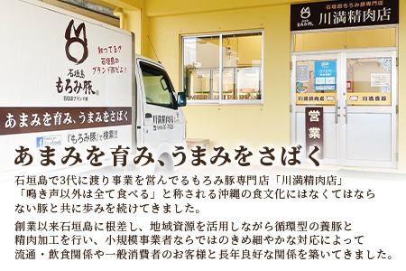 【石垣島ブランド豚】もろみ豚 特製 餃子 9パック【合計108個】【もろみで育てる自慢の豚肉】ぎょうざ 小分け AH-6
