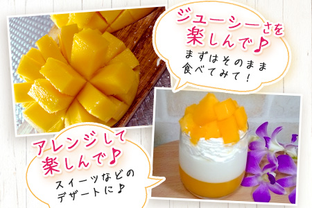 ［予約受付］美ら姫マンゴー2ｋｇ（完熟・アーウィン種）≪2026年7月中旬～順次発送≫ CB-2