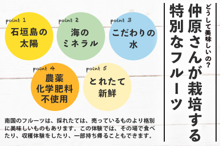 ＜1回1組限定プライベート体験ツアー！＞農薬を使わない、仲原さんの「森のような畑」 OI-21-1