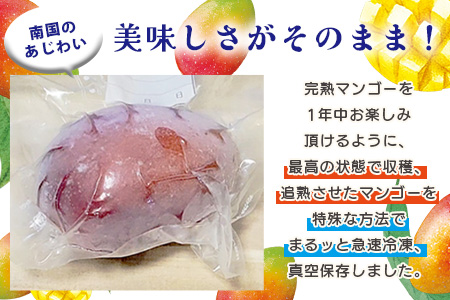 《2025年7月以降発送》最高糖度20度！？ 完熟！3Lサイズ 石垣島産冬眠マンゴー TF-17-1_R8