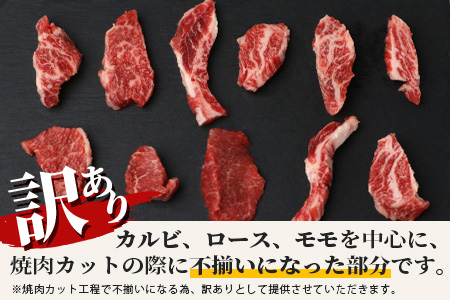 【訳あり】石垣牛 焼肉用　(不揃い)　500g　AB-26