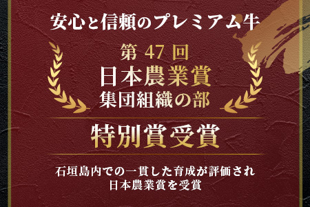 石垣牛ハンバーグセット100g×10個＜2025年10月発送＞| 国産 石垣牛100% 沖縄 石垣島産 高級 黒毛和牛 ビーフ ハンバーグセットA-006_10