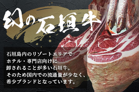 石垣牛ハンバーグ100g×10個（八重山パーツミート）I-9-1