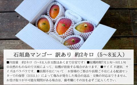 【先行受付】《2025年7月～8月中旬順次発送》訳あり 沖縄マンゴー（石垣島産）2kg ときわマンゴー農園 TK-2-1