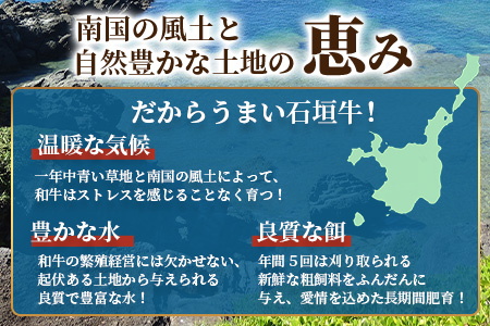 やえやまファームの石垣牛ハンバーグ 6個セット E-27