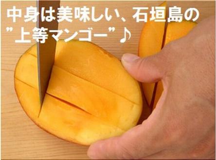 【予約受付】石垣島産 《訳あり・ご自宅用マンゴー》 約2kg エコ箱入り(3～6個入り) 2025年6月末〜7月下旬発送 SI-30-2