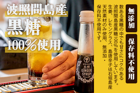 ジンジャーシロップ飲み比べ3種セット(200ML×1本、120ML×2本)　HW-5