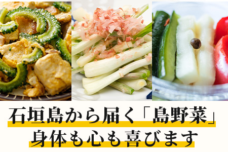 料理人が厳選した島野菜盛り合わせ (6～10品目) 【 野菜詰合せセット  やさい セット 詰め合わせ 冷蔵対応】 TM-7