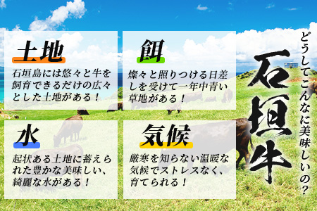 【合計1.5kg】石垣牛 100% 極めハンバーグ 150g×10個 ≪肉職人が作ったこだわりハンバーグ≫ 【石垣牛 沖縄県 石垣市 石垣島 牛肉 牛 肉 黒毛和牛】 TM-6