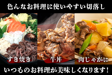 石垣牛 切り落とし スライス (300g×4パック) 計1.2kg AB-25-1