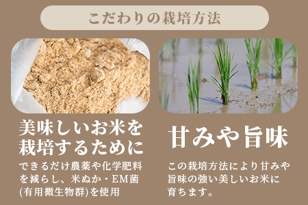 石垣島産 星の美しゃ（ほしのかいしゃ）20kg（5kg×4袋）MK-5-1