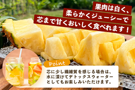 《2026年4月以降順次発送》【先行予約】最高糖度20度！？ 完熟の極 石垣島産パイナップル ピーチパイン3個セット【 沖縄 石垣島 石垣 八重山 パイン ピーチパイン 期間限定 数量限定 沖縄県 石垣島産 】TF-1-1_R8