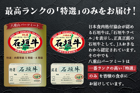 特選石垣牛100%ハンバーグ100g×3個＋特選石垣牛 元卸お任せ 焼肉180g セット（八重山パーツミート）I-17-1